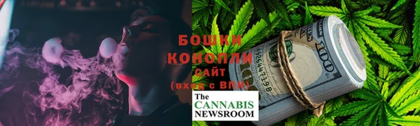 трава Гусиноозёрск