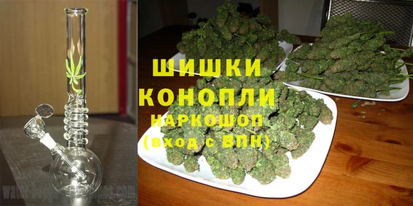 трава Гусиноозёрск