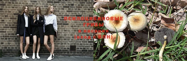 бошки Гусь-Хрустальный