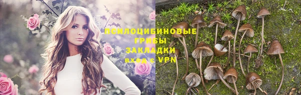 трава Гусиноозёрск